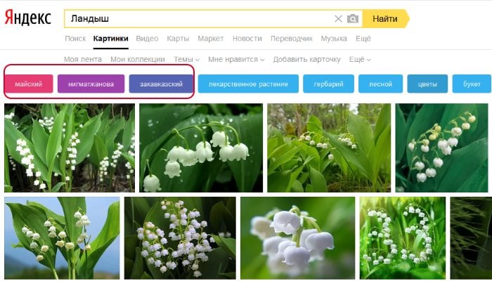 Szűrők a Yandex képek kereséséhez