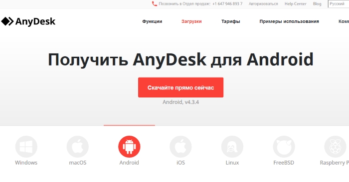 AnyDesk webhely