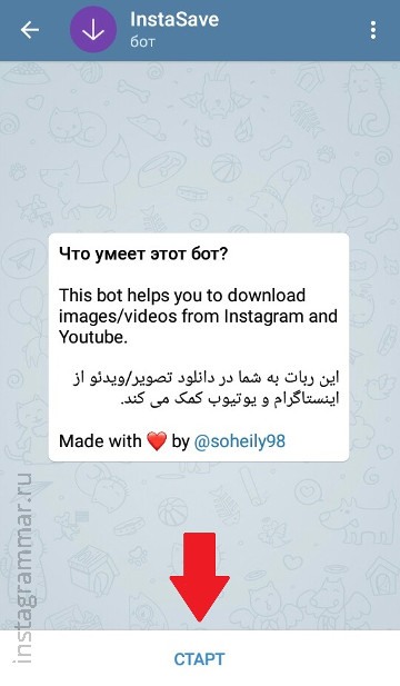 Az Instagram történetek névtelen megtekintése - telegram bot