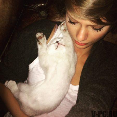 Taylor