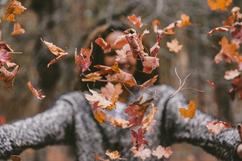 őszi fotó ötletek Instagram - egy lány leveleket dob ​​az erdőben