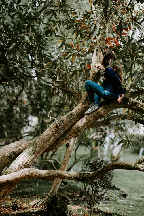 őszi fotó ötletek Instagram - egy lány egy fán